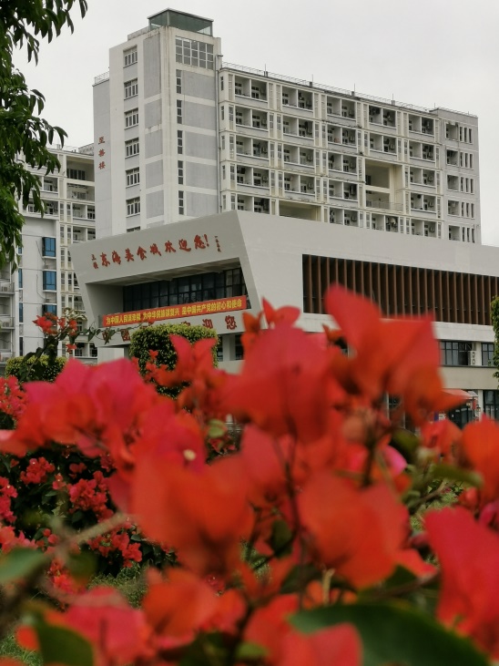图片 12